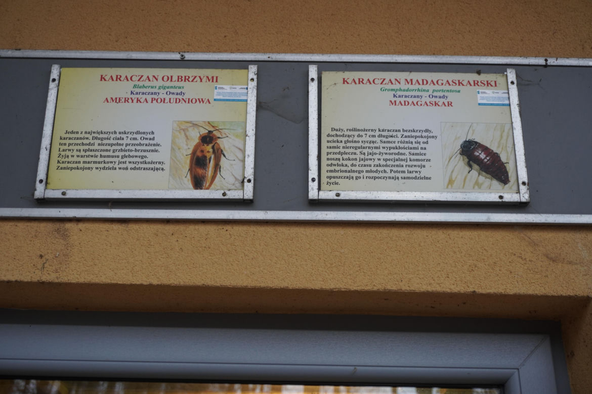 Zoo w Poznaniu zimą