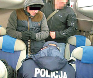 Zabójca Patryczka  już w kraju