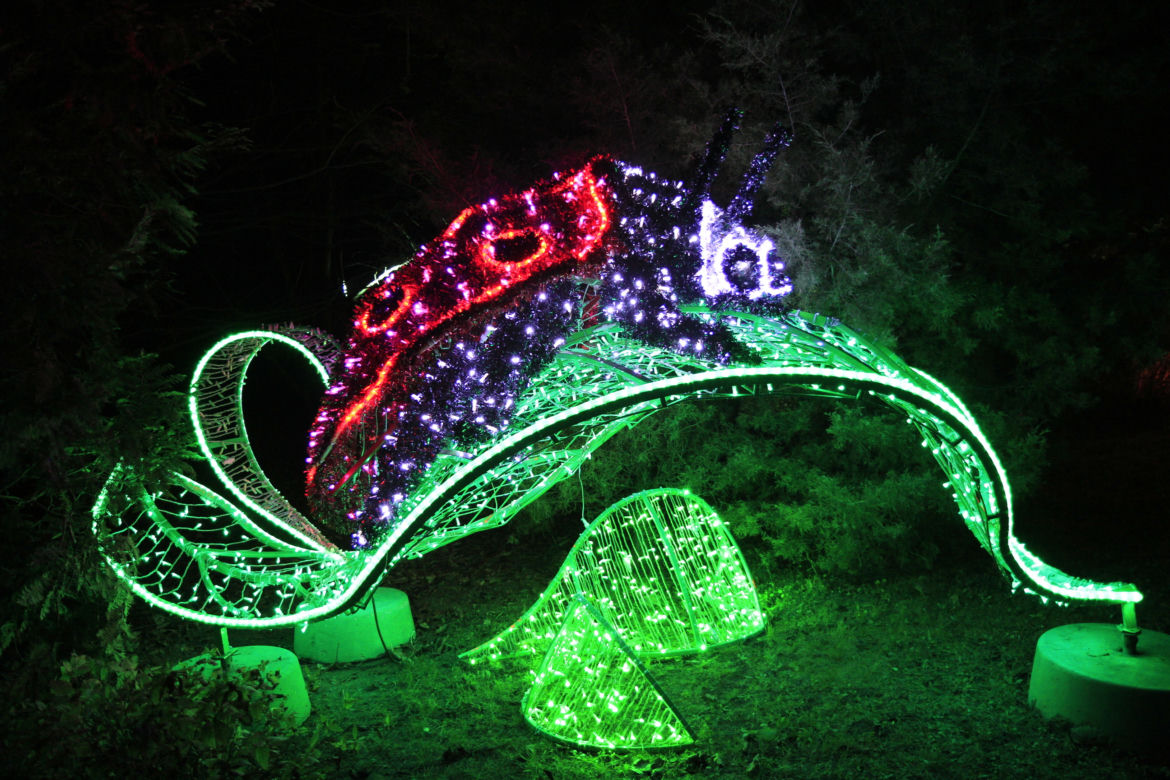 Park iluminacji „Tajemniczy Ogród” w Lublinie