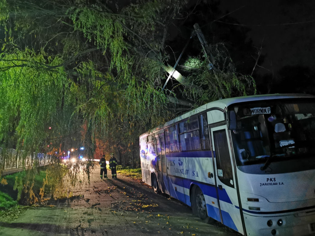 Wichura powaliła drzewo na autobus