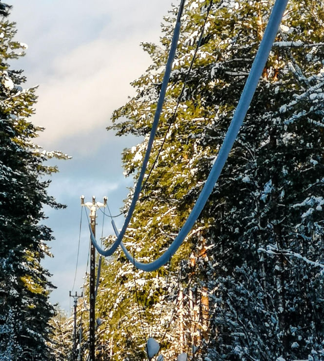 Atak zimy w Elblągu