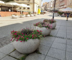 Olsztyn. Staromiejskie donice wypełniły się kolorowymi kwiatami [ZDJĘCIA]