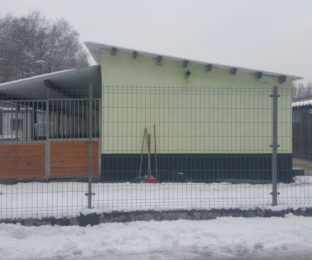 Sosnowieckie schronisko ma nową szczeniakarnię i kociarnię