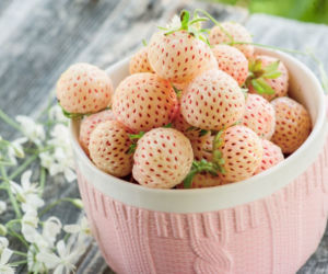 Pineberry