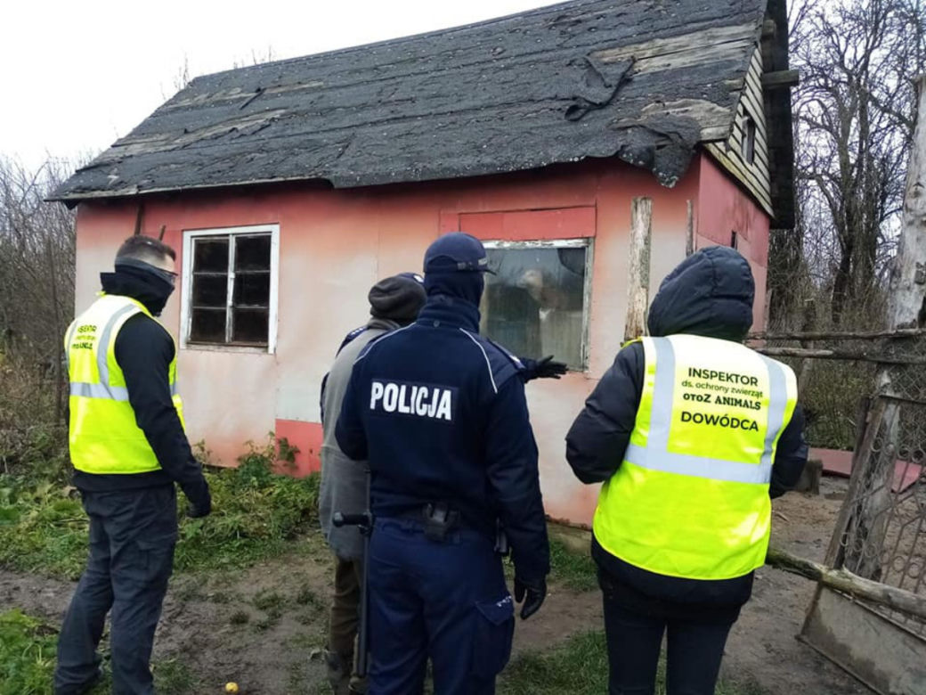 Piekło psów pod Olsztynem