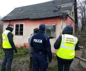 Piekło psów pod Olsztynem