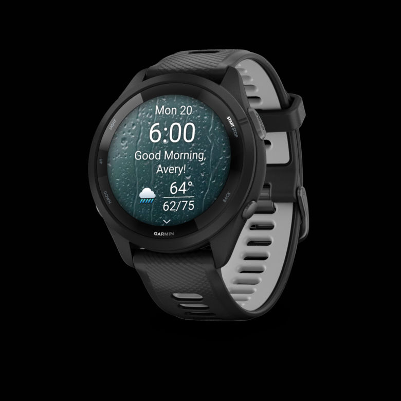 Garmin 265