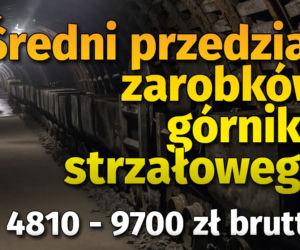 Ile zarabiają górnicy? W styczniu wywalczyli podwyżki 