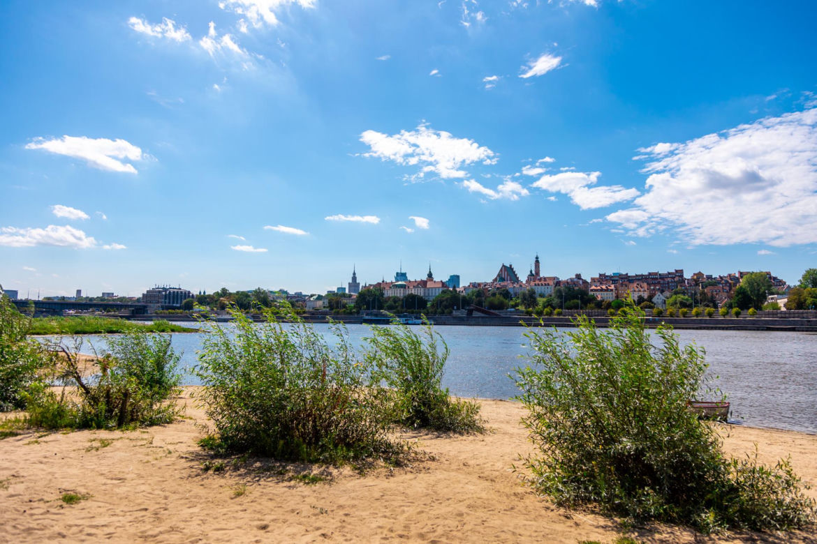 Plaża Rusałka, czyli Plaża Praska – roślinność
