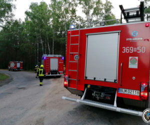 Zbójna. Opel uderzył w drzewo. Kierująca straciła panowanie nad autem [ZDJĘCIA]