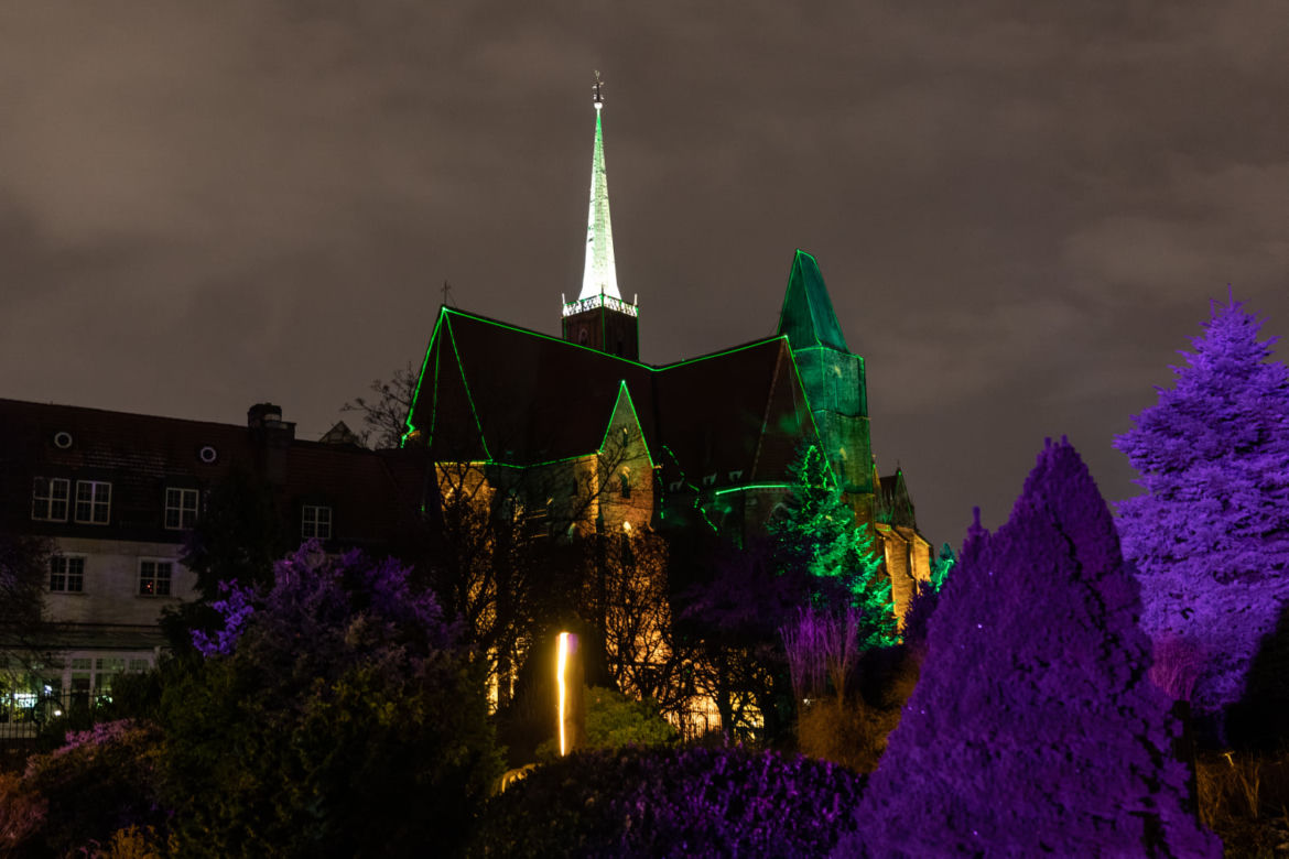Światłogród w Ogrodzie Botanicznym we Wrocławiu. Robi wrażenie! [ZDJĘCIA]