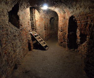 Elizeum