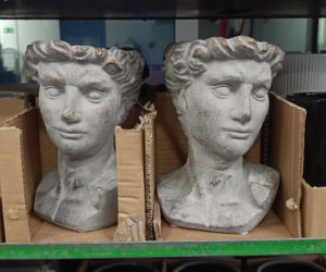 Festiwal Roślin w Enea Arenie