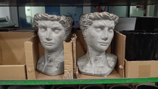 Festiwal Roślin w Enea Arenie