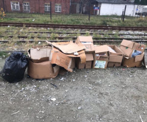Śmieci na targowisku Świebodzki
