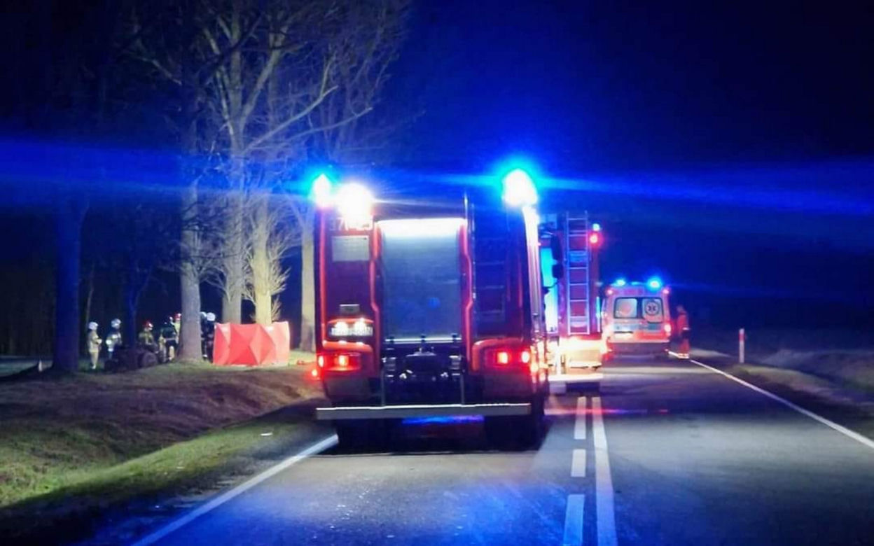 Śmiertelny wypadek pod Skwierzyną! BMW rozpadło się na części po zderzeniu z sarną [ZDJĘCIA]