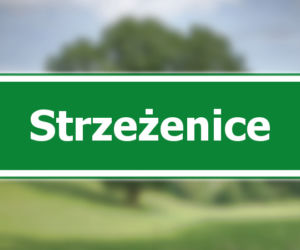 Strzeżenice