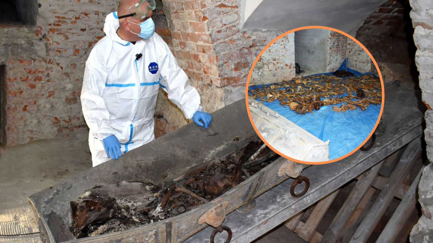 Sensacyjne odkrycie w Świdnicy. Tajemnicza krypta pod katedrą, a w niej ludzkie szczątki