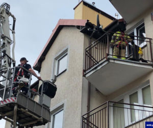 Policjanci uratowali psy pozostawione w rozgrzanych pomieszczeniach