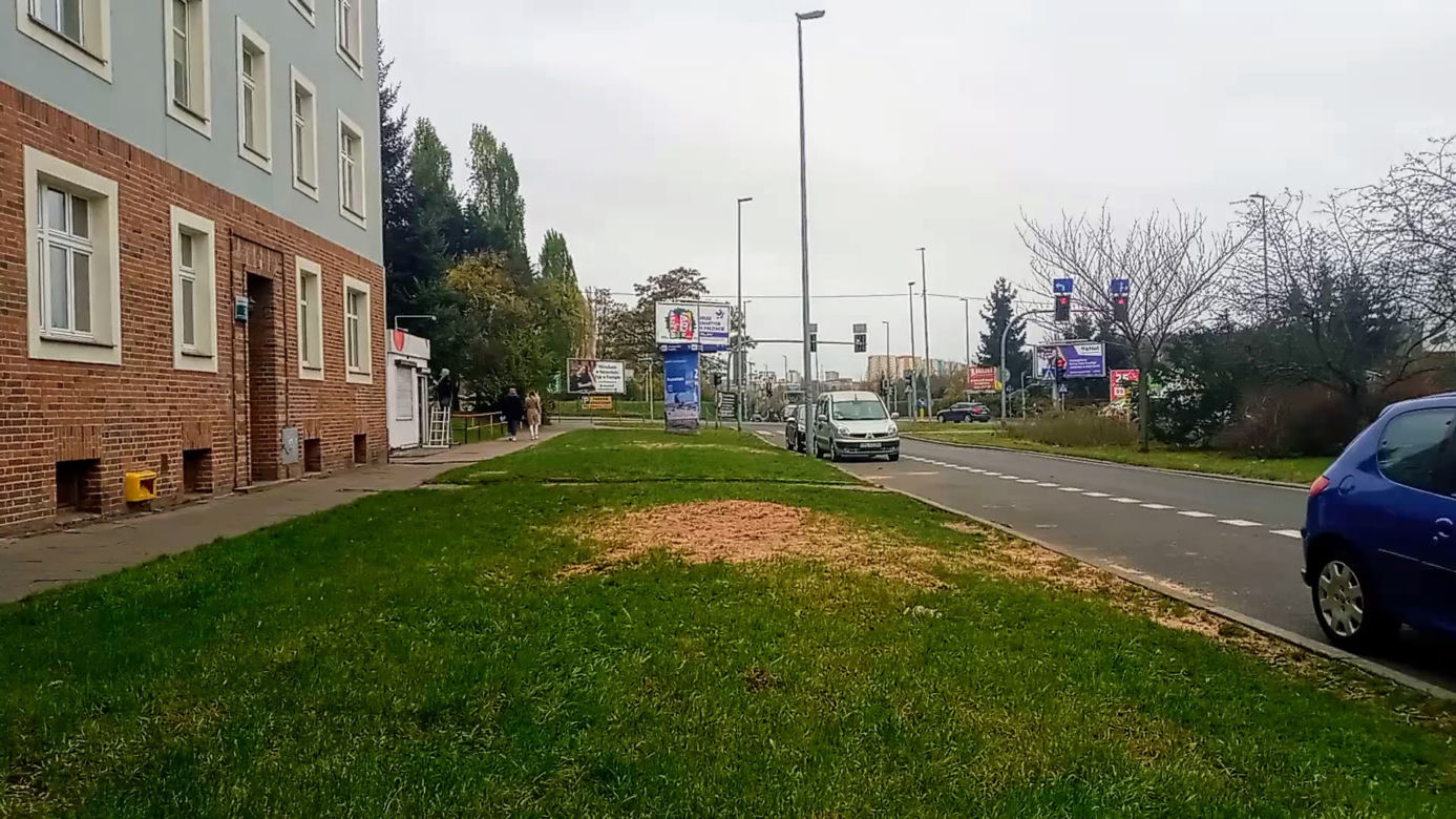 Okazałe drzewa na Turzynie poszły pod topór
