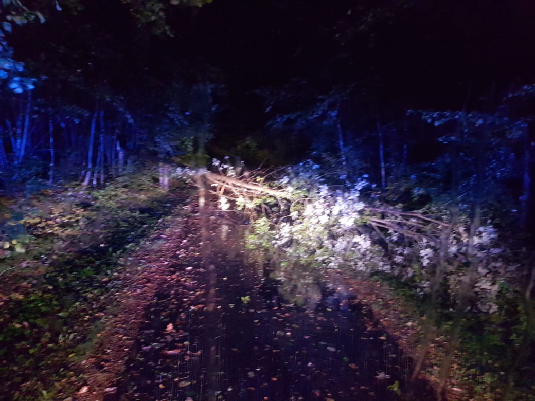 Interwencje strażaków z Grudziądza