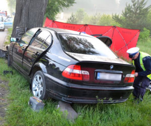 Tragiczny wypadek na DK 22. BMW uderzyło w drzewo. Kierowca chciał uniknąć zderzenia z sarną. Zginął 29-latek [ZDJĘCIA]