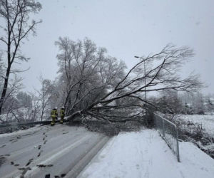 Uszkodzone dachy i ludzie odcięci od prądu. Najtrudniejsza sytuacja na Podkarpaciu