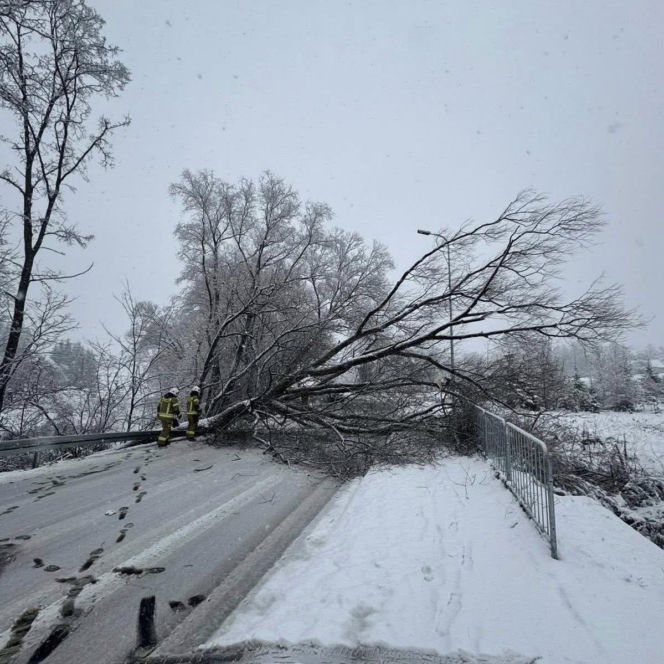 Uszkodzone dachy i ludzie odcięci od prądu. Najtrudniejsza sytuacja na Podkarpaciu