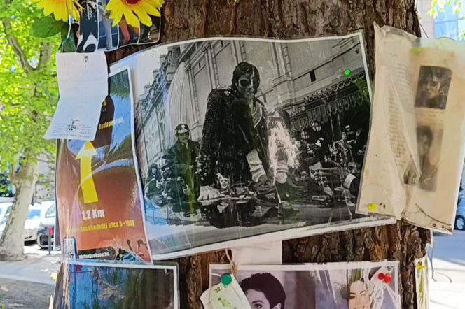 Drzewo pamięci Michaela Jacksona w Budapeszcie