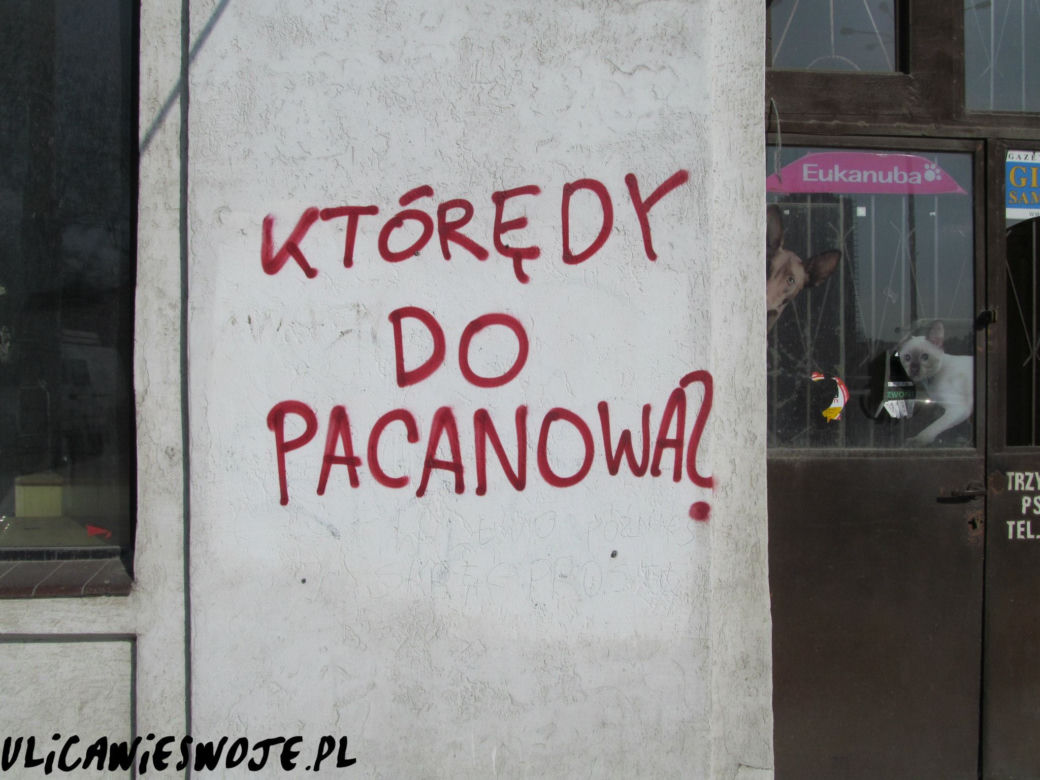Napisy na łódzkich murach: Sztuka czy wandalizm? Ulica wie swoje...
