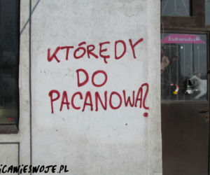 Napisy na łódzkich murach: Sztuka czy wandalizm? Ulica wie swoje...