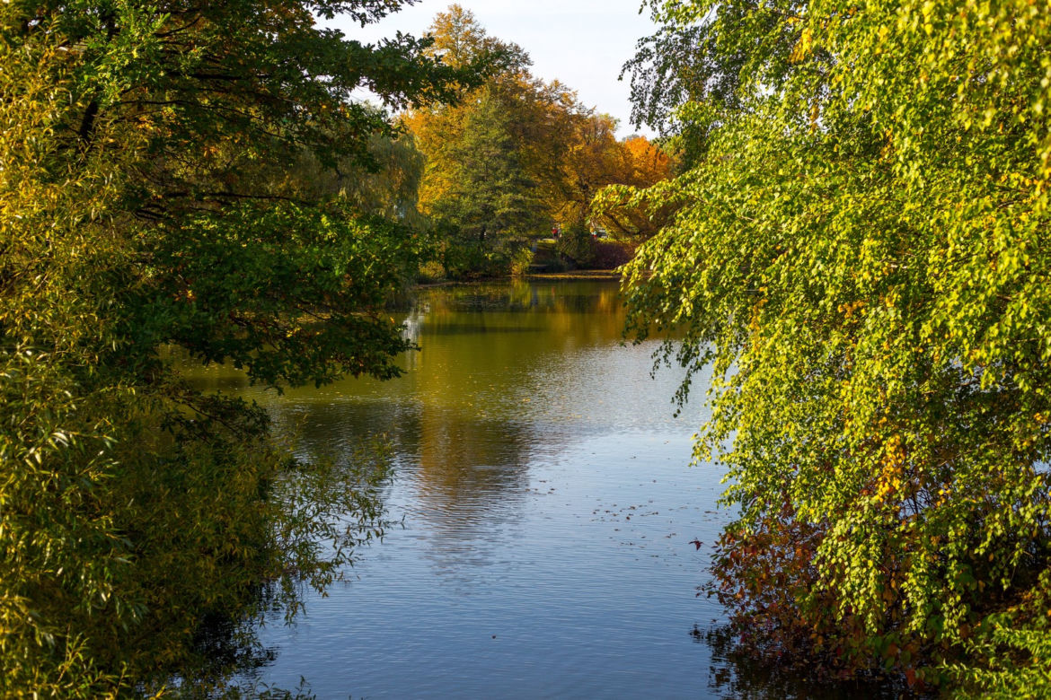 Park Śląski jesienią jest naprawdę piękny