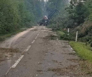 Koszmarny widok po nawałnicy w Osiu. Gigantyczne straty 