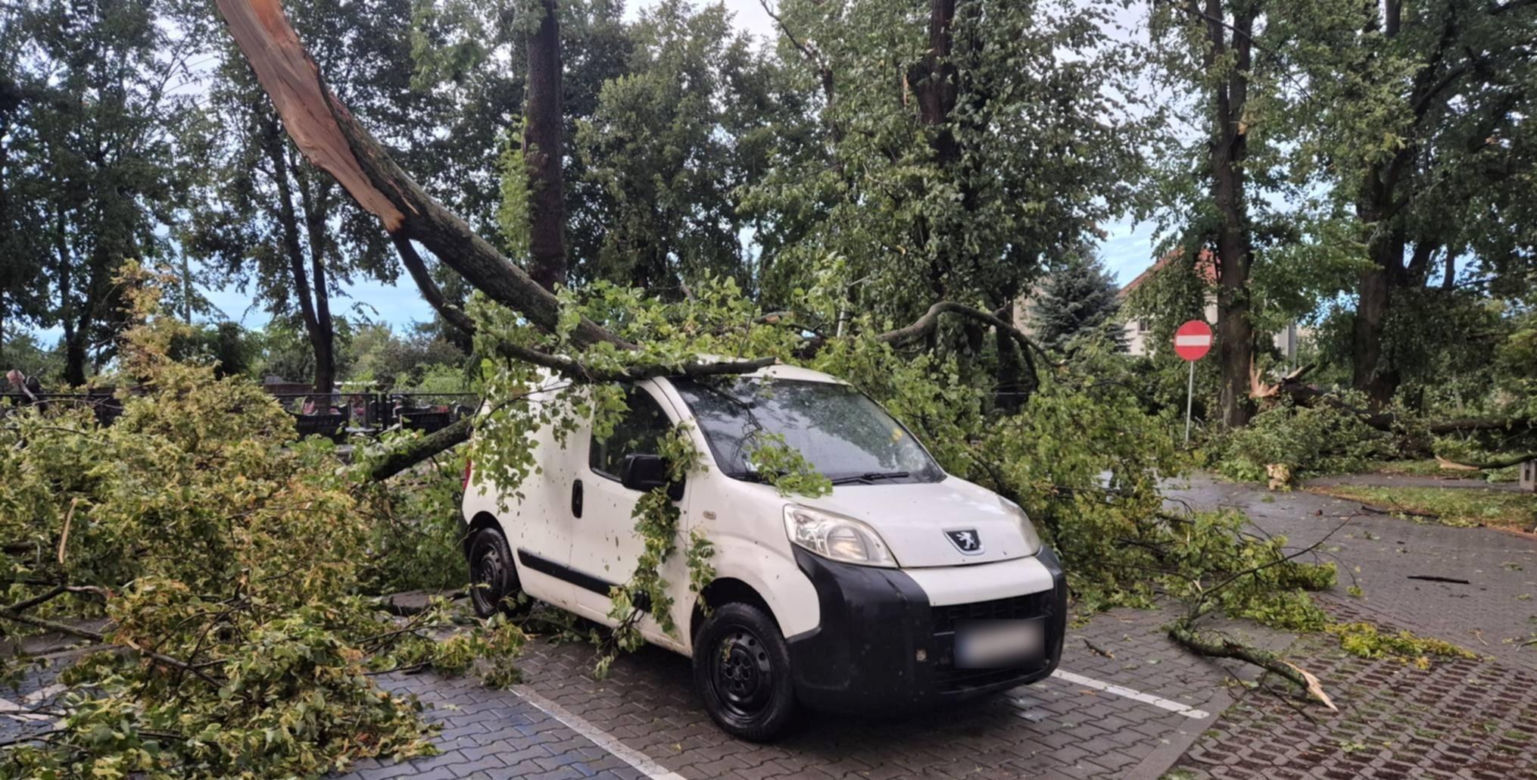 Potężna wichura w Wielkopolsce! Zerwane dachy, powalone drzewa i ogromne zniszczenia
