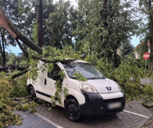 Potężna wichura w Wielkopolsce! Zerwane dachy, powalone drzewa i ogromne zniszczenia