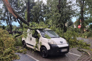 Potężna wichura w Wielkopolsce! Zerwane dachy, powalone drzewa i ogromne zniszczenia