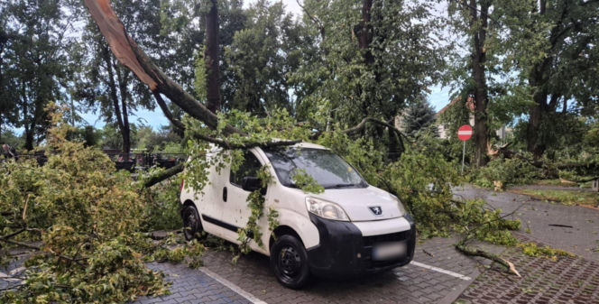 Potężna wichura w Wielkopolsce! Zerwane dachy, powalone drzewa i ogromne zniszczenia