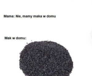 Memy z mamą w roli głównej 