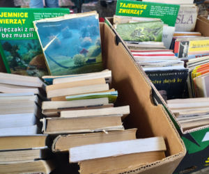 Bazar na Tarnowskiej Starówce zagrał z WOŚP 