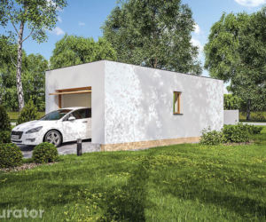 Projekt GC100 Garaż