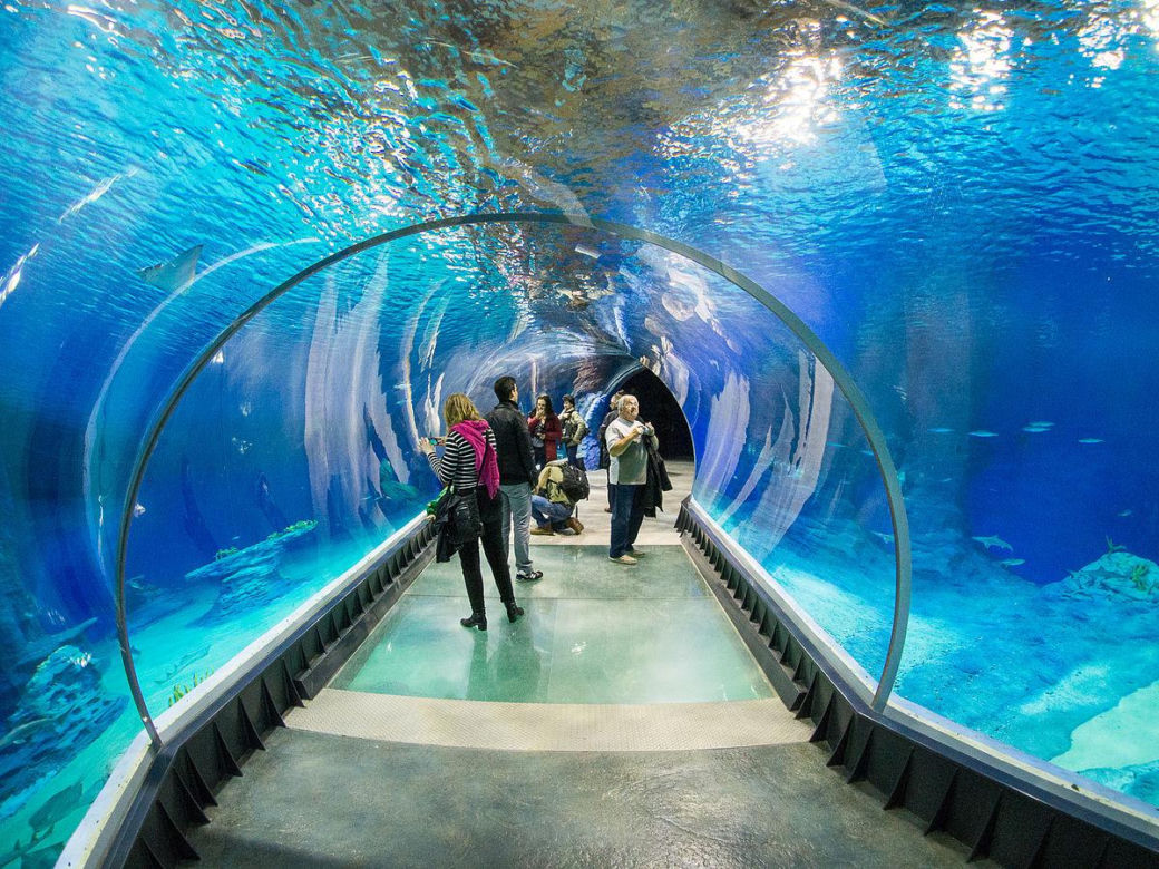 ZOO Wrocław - bilety, cennik 2023, godziny otwarcia. Jak dojechać? Mapa, parking