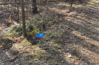 Znana detektyw komentuje sprawę Magdaleny Majtyki. „Nie można zakładać jednego scenariusza”