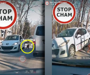 72-latek ciągnął psa na smyczy za autem! Dopadła go policja. Oburzające nagranie