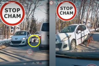 72-latek ciągnął psa na smyczy za autem! Dopadła go policja. Oburzające nagranie