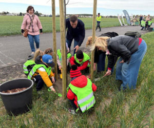 Zazieleni się Trojanowskiego w Lesznie. Przy ulicy posadzono drzewa