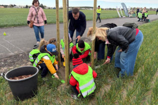 Zazieleni się Trojanowskiego w Lesznie. Przy ulicy posadzono drzewa