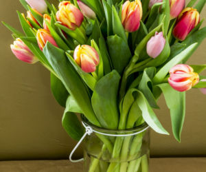 Tulipany