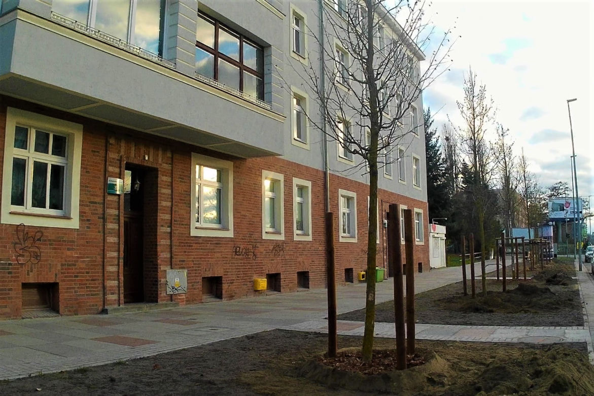 Drzewa powróciły na aleję Bohaterów Warszawy