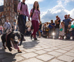 Kraków: Marsz Jaminików 2018. Zobaczcie najlepsze przebrania! [ZDJĘCIA]