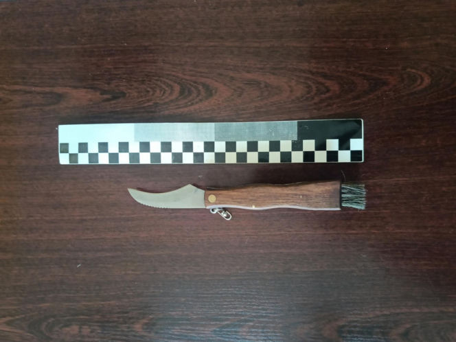 Rolnik z Podlasia bronił swojego bydła. "Gdyby nie brat, to by mnie tam zatłukli"